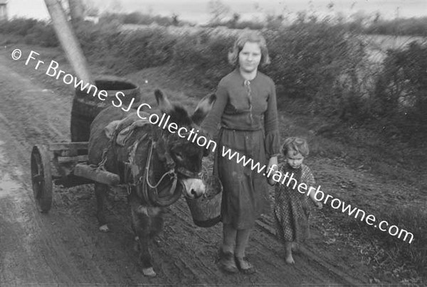 THE WATER WAGGON AT OLD BALLYBRITTAS